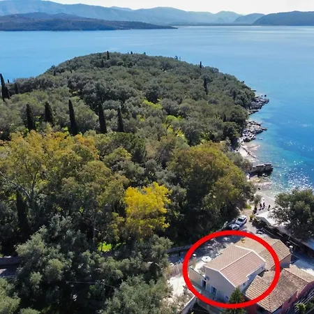 Nikolakis *